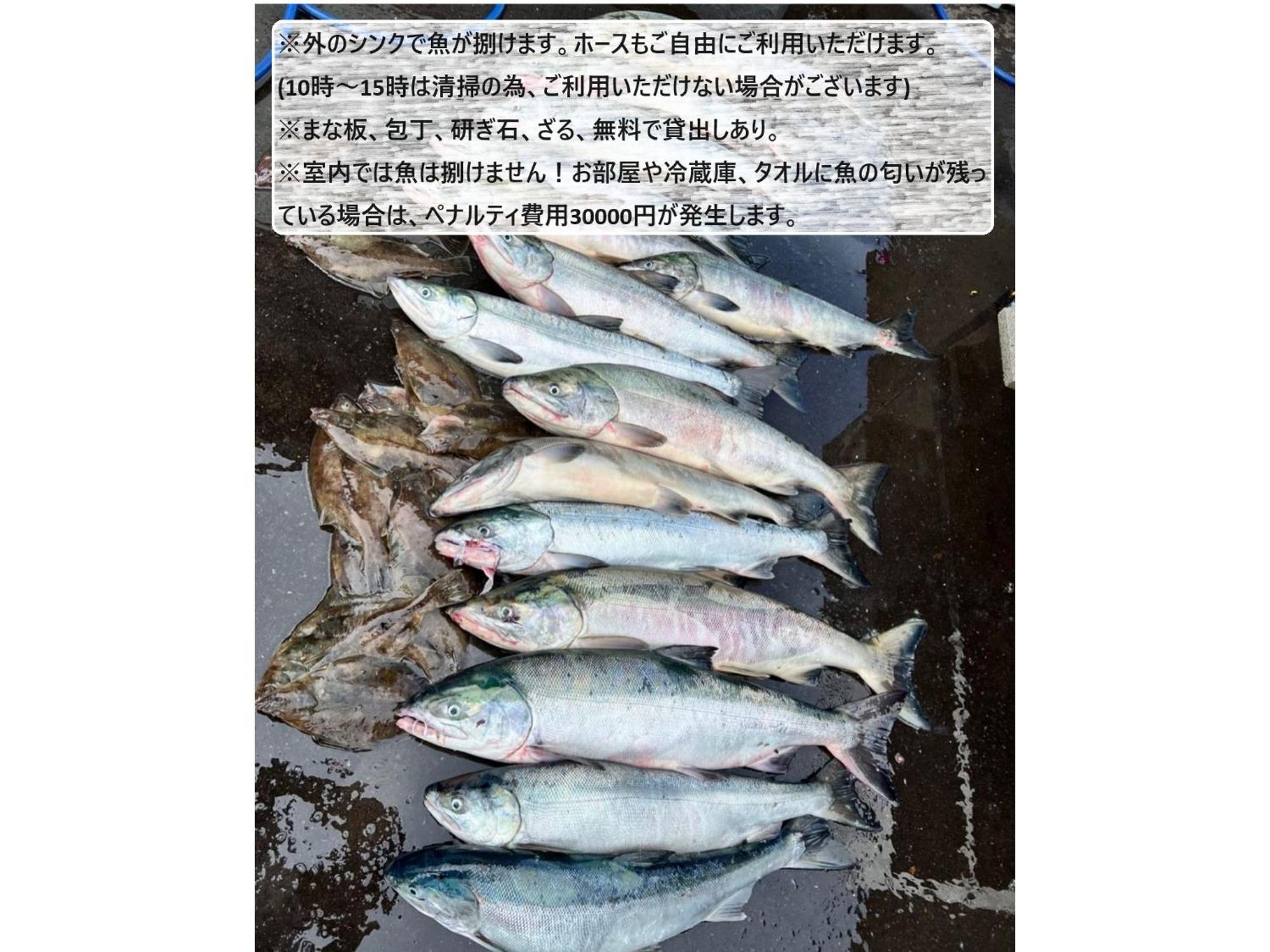 Shirakaba No Mori Cottage - Vacation Stay 90794V 网走 外观 照片